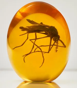 Jurassic 3D Mosquito in Amber Resin | True 3D Original Design Realistic Flat Bottom Shaped | Measures 3.3 Inches Tall Dinosaur DNA Replica World | Collectable Prop | Cane Mount | Paper Weight