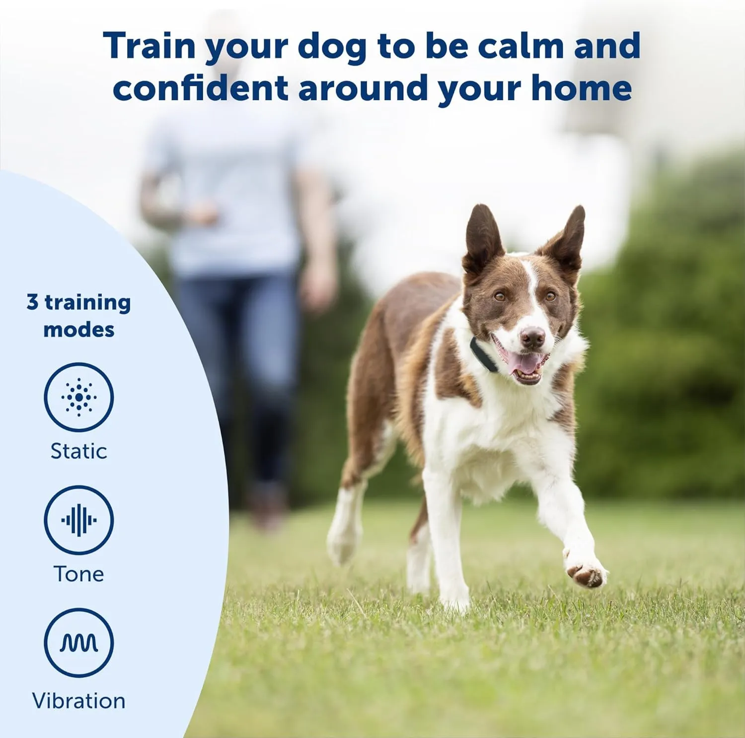 PetSafe Remote Trainer Dog Training Collar - 3 Training Modes: Tone, Vibration, 15 Levels of Static Stimulation, Standard for Dogs Over 8lb  - Waterproof, Durable, Rechargeable - 100 Yards (300 Feet)
