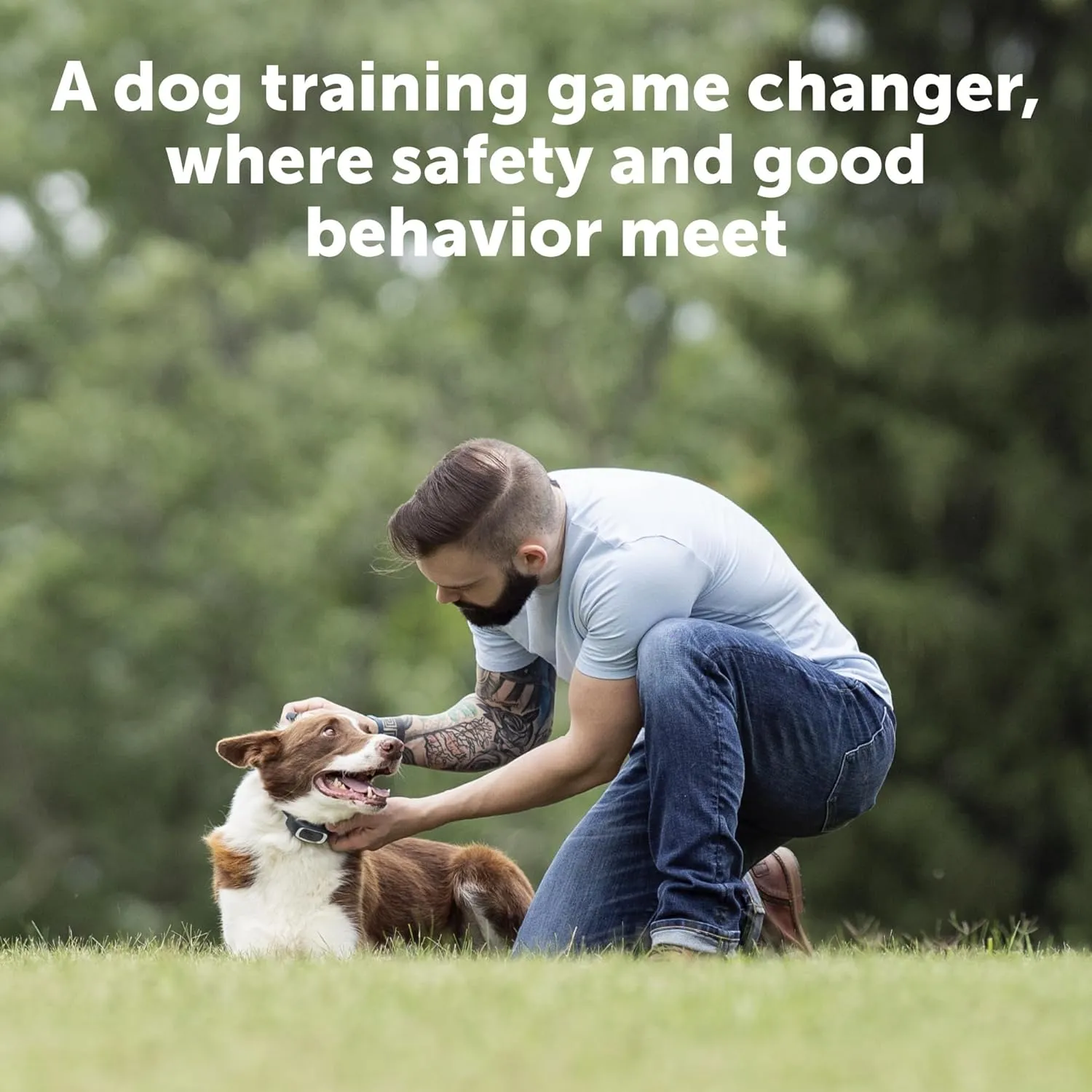PetSafe Remote Trainer Dog Training Collar - 3 Training Modes: Tone, Vibration, 15 Levels of Static Stimulation, Standard for Dogs Over 8lb  - Waterproof, Durable, Rechargeable - 100 Yards (300 Feet)
