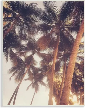 Stupell Industries Sun Bleached Palm Tree Tops Vintage Summer Sky, Designed by Acosta Wall Plaque, 13 x 19, Green