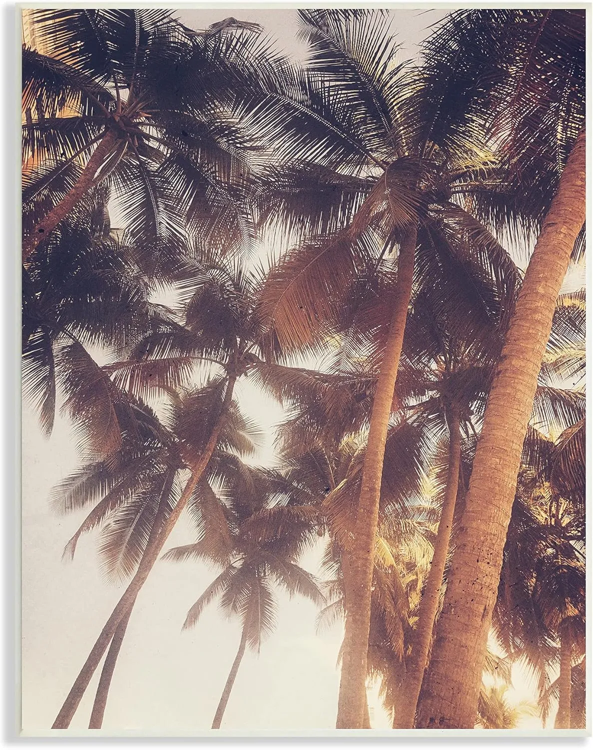 Stupell Industries Sun Bleached Palm Tree Tops Vintage Summer Sky, Designed by Acosta Wall Plaque, 13 x 19, Green